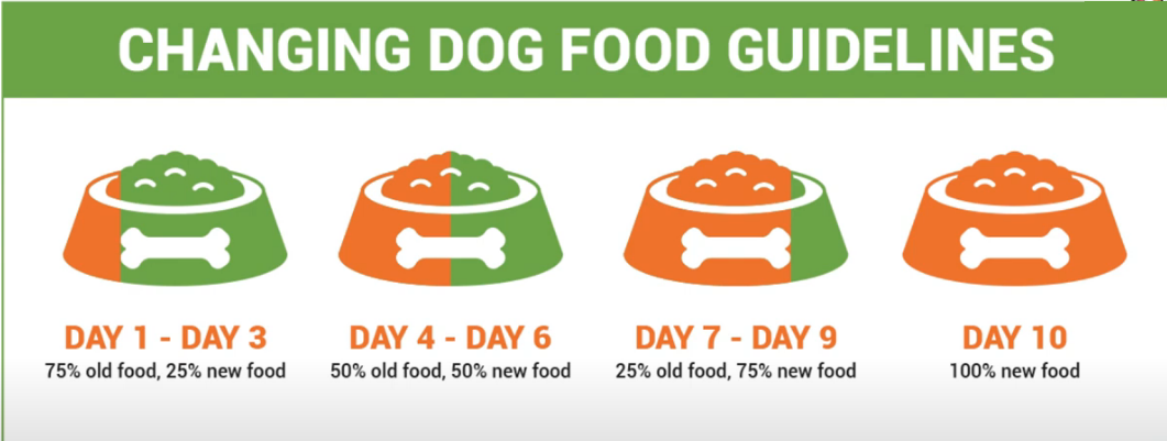 사료를 바꾸는 법