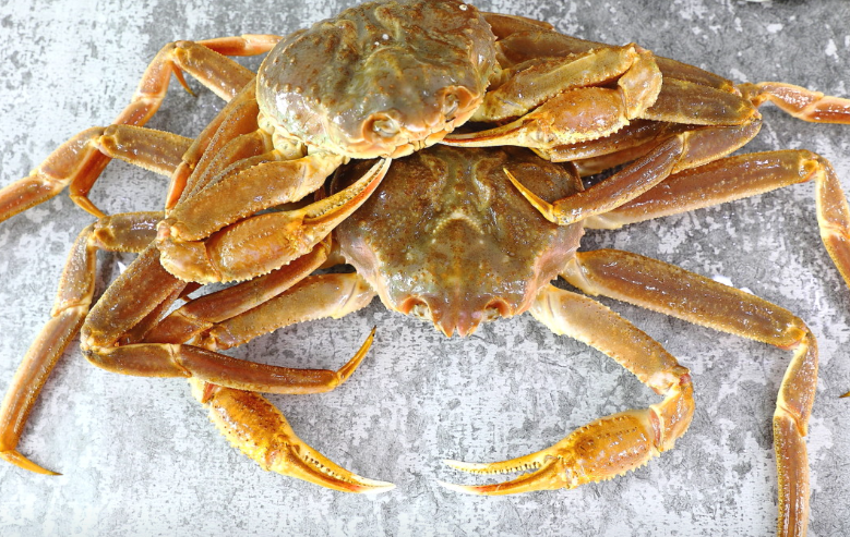 울진대게궁7호 대표 메뉴