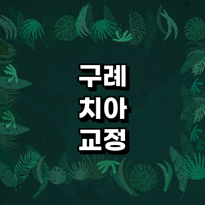 구례군 교정 치과