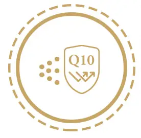 코엔자임Q10-항산화-이미지