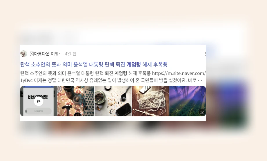 계엄령_2_subsection