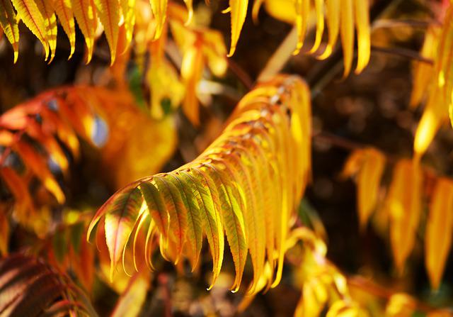 김치통 김치냄새 없애기