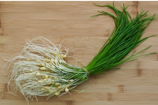 3월 제철음식 총정리: 달래, 주꾸미부터 도다리 쑥국까지 완벽 가이드