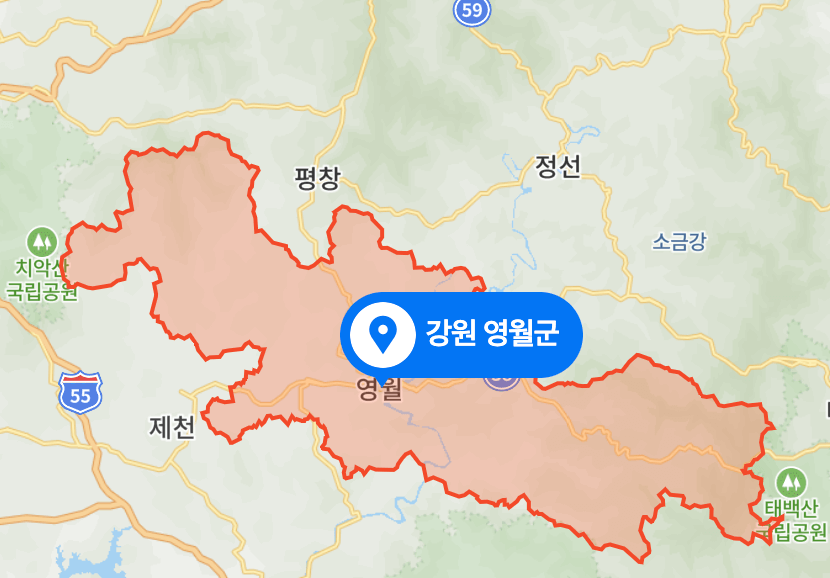 절임배추 20kg 몇포기 해남절임배추 괴산절임배추 고랭지절임배추 특징 가격