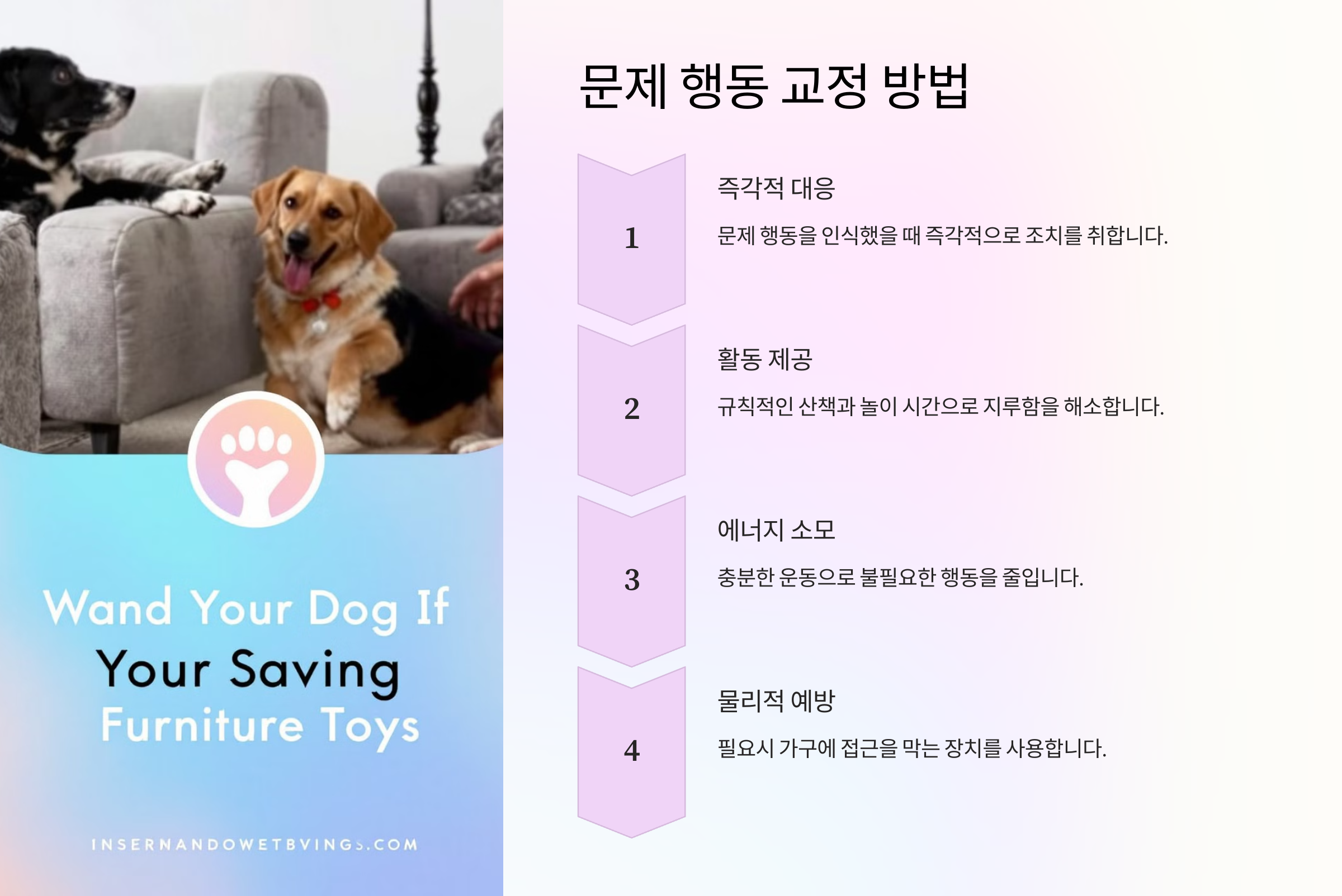 문제 행동 교정 방법