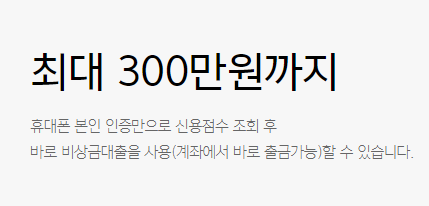 카카오 비상금대출