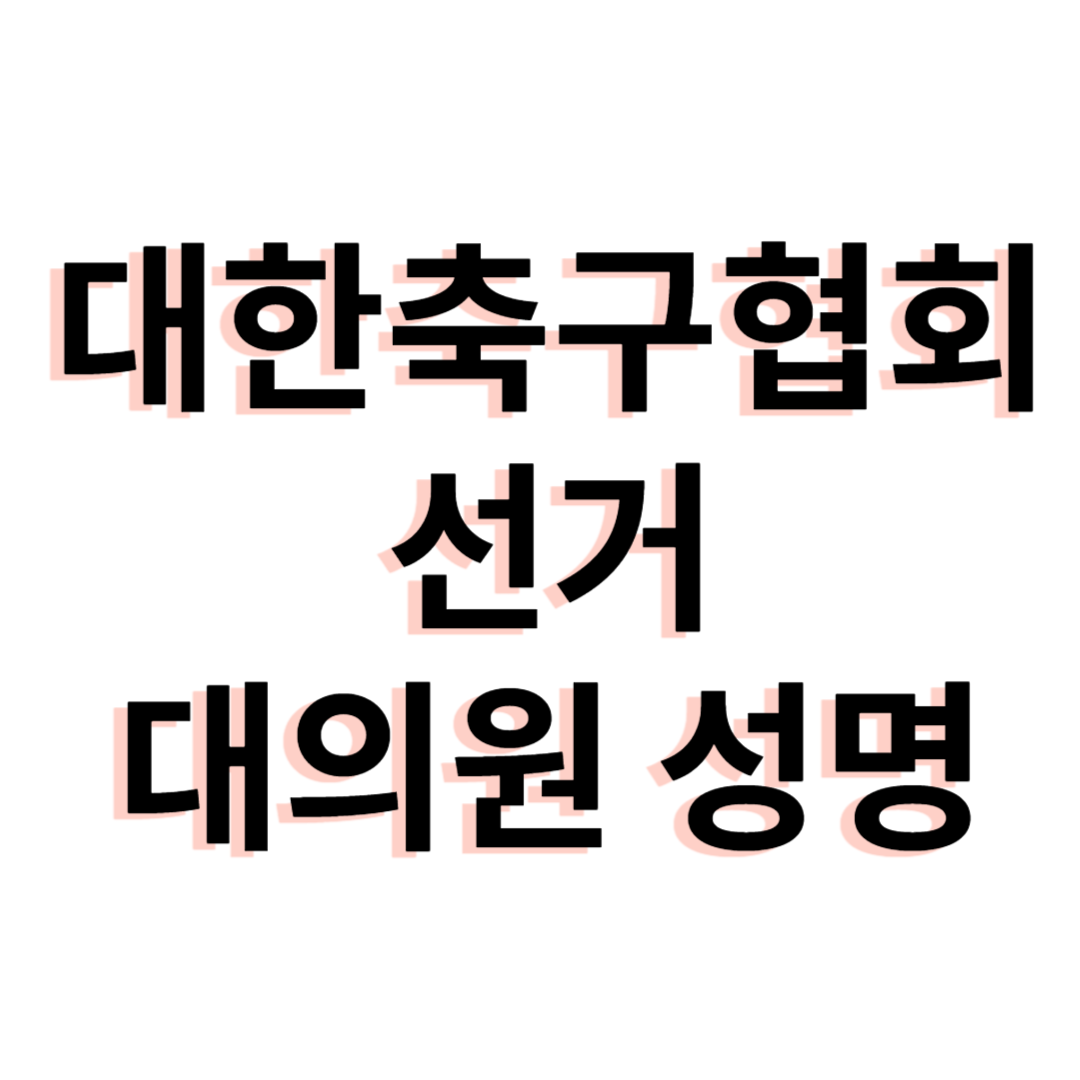 대한축구협회 선거