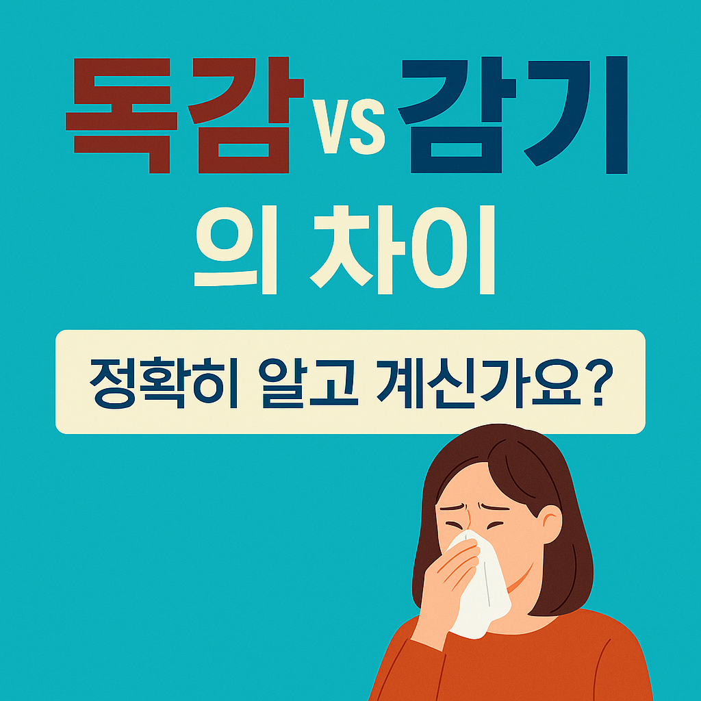 독감과 감기의 차이