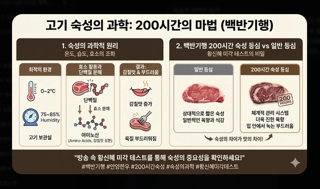 안양 한우 맛집 [백반기행 2026] 숙성 등심 및 보양수육전골 진짜 맛집 5곳