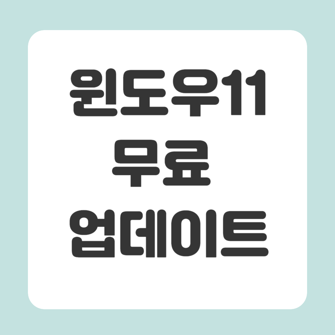 윈도우11 무료 업데이트 방법