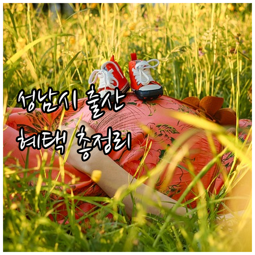 2025년 성남시 출산 혜택 출산장려..