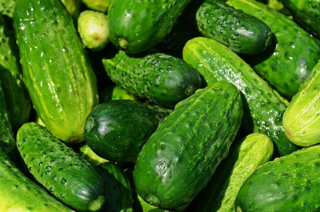 도시가스 요금 줄이는 효과 생활 관리 포인트 