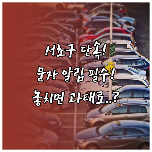 서초구 주정차 단속 문자 서비스 신청..