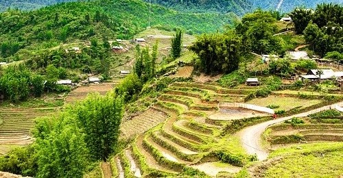 베트남 사파