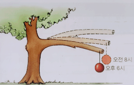 나무에-사과가-매달린-사진