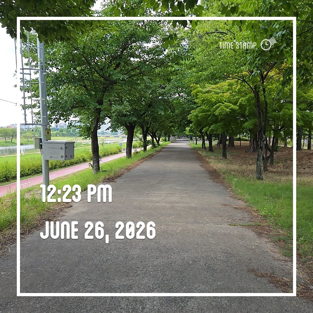2026-06-26 점심걷기 사진