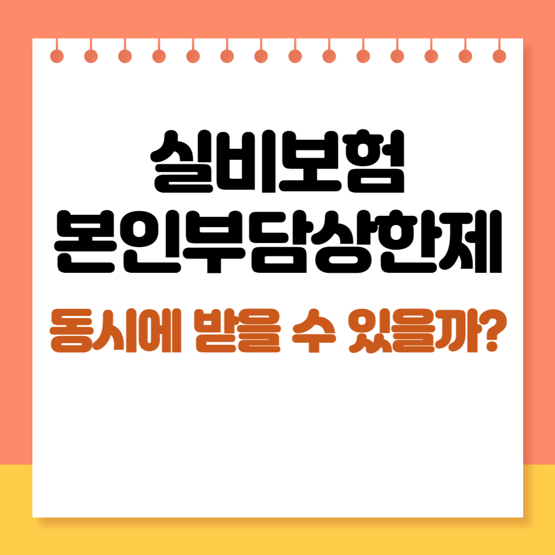실비보험과 본인부담상한제 중복