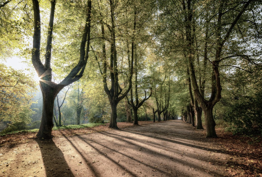 어린이와 어른 모두 즐길 수 있는 여행지
