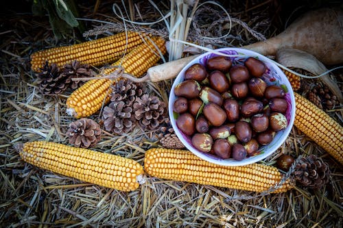 대추의 효능 및 부작용과 활용법