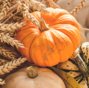 단호박 효능 부작용 영양성분 고르는법 칼로리