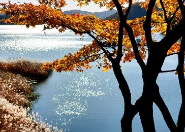 청남대 관람 예약