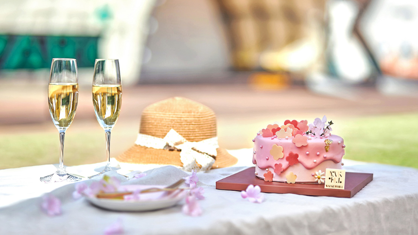 2025년 봄 여행 패키지 예약 완벽 가이드! 인기 여행지 & 혜택 총정리