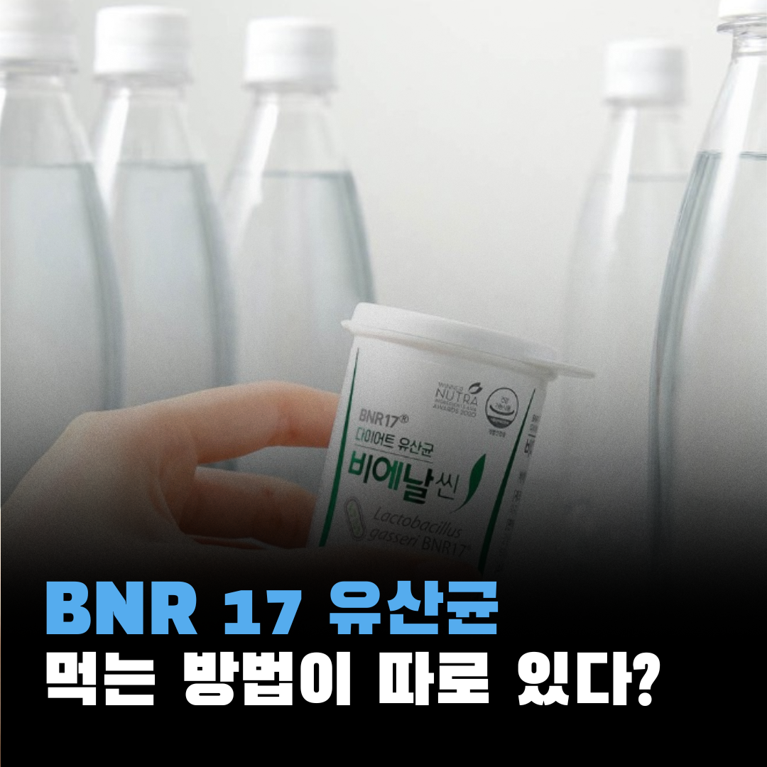 BNR17 유산균 복용법, 부작용, 다이어트 효과