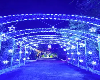 청도 프로방스 빛축제_25