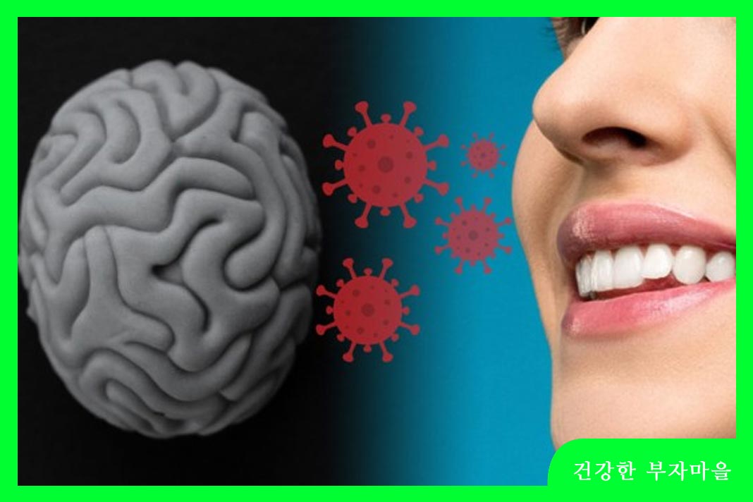 뇌에서 만드는 가짜 냄새