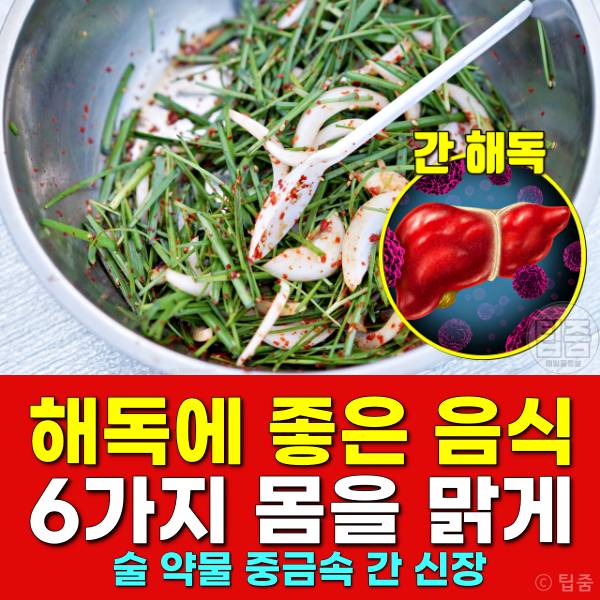 해독에 좋은 음식,술 약물 중금속 간 신장 혈관 해독