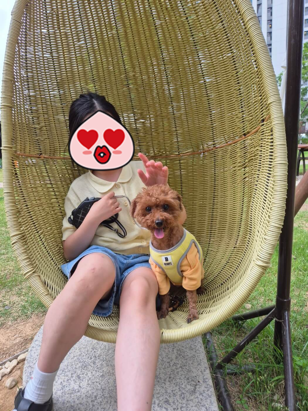 강아지 산책 방법 & 필수 아이템 총정리