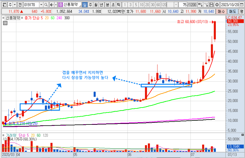 갭 예시 차트(신풍제약)