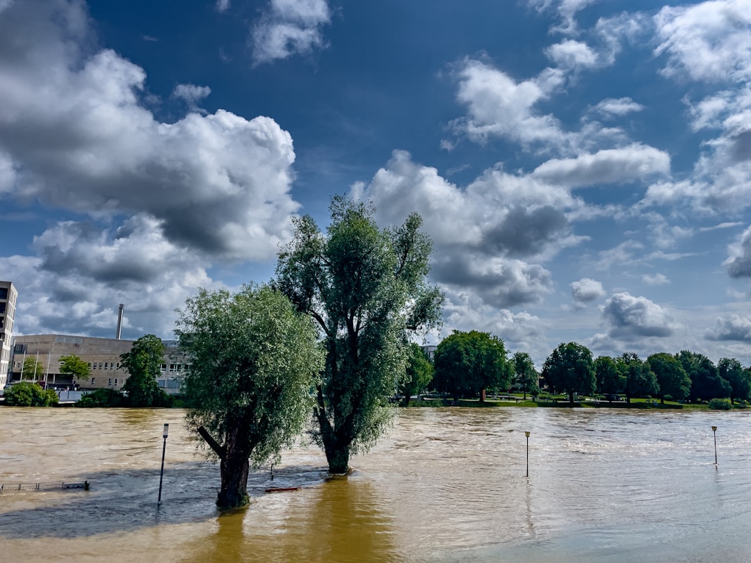 Flood