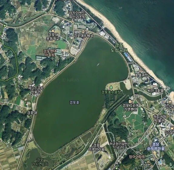 경포대 해수욕장 여름 물놀이 여행지와 맛집 코스 정리_2