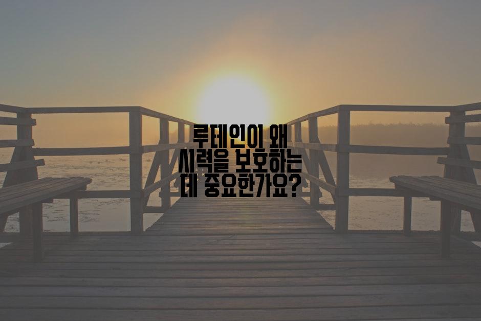 루테인이 왜 시력을 보호하는 데 중요한가요?