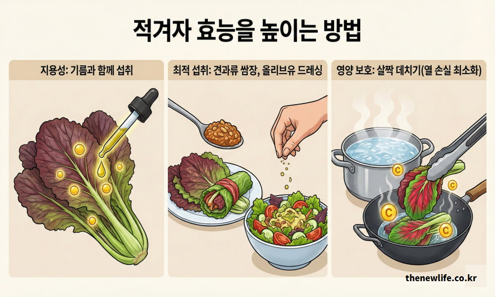 지용성 비타민 흡수율을 높이는 기름 섭취, 쌈과 샐러드 활용, 영양 손실을 줄이는 가열법 등 적겨자 효능 극대화 방법 3가지를 정리한 이미지