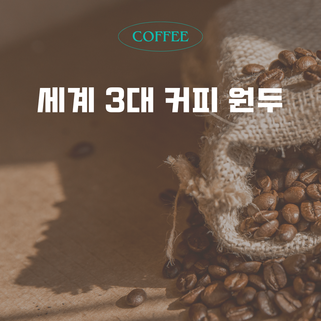 세계 3대 커피 원두 소개 &ndash; 블루마운틴&middot;하라르&middot;킬리만자로