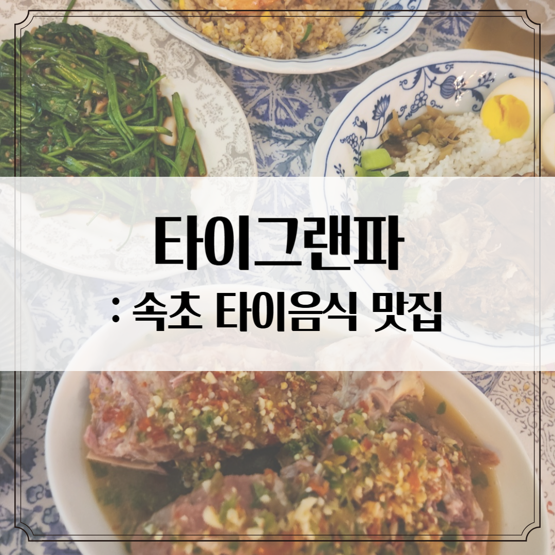 속초 '타이그랜파' - 술과 함께 즐기는 태국음식 맛집