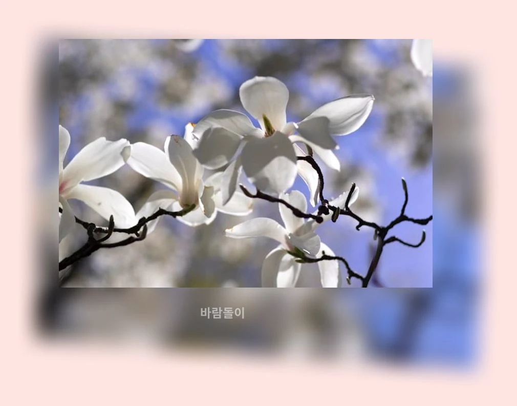 IPTV 선택_1_subsection