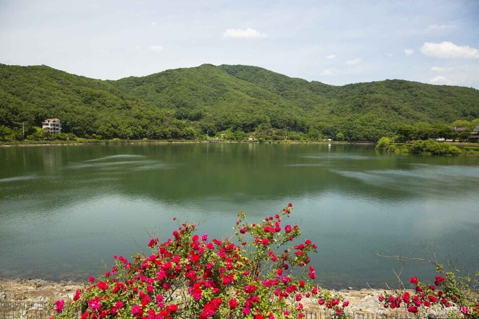 남양주 가볼만한곳 베스트 10