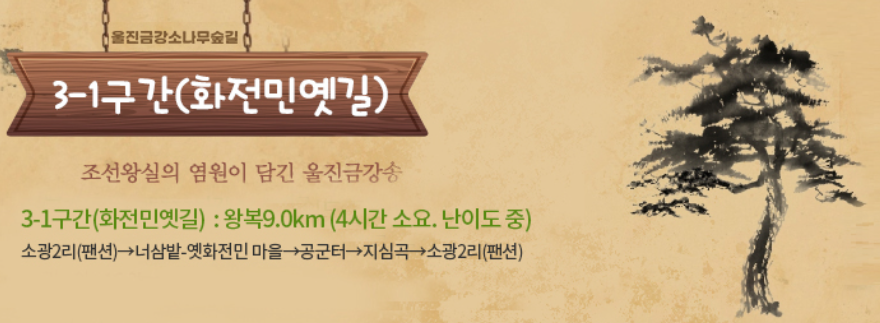 울진 금강소나무숲길