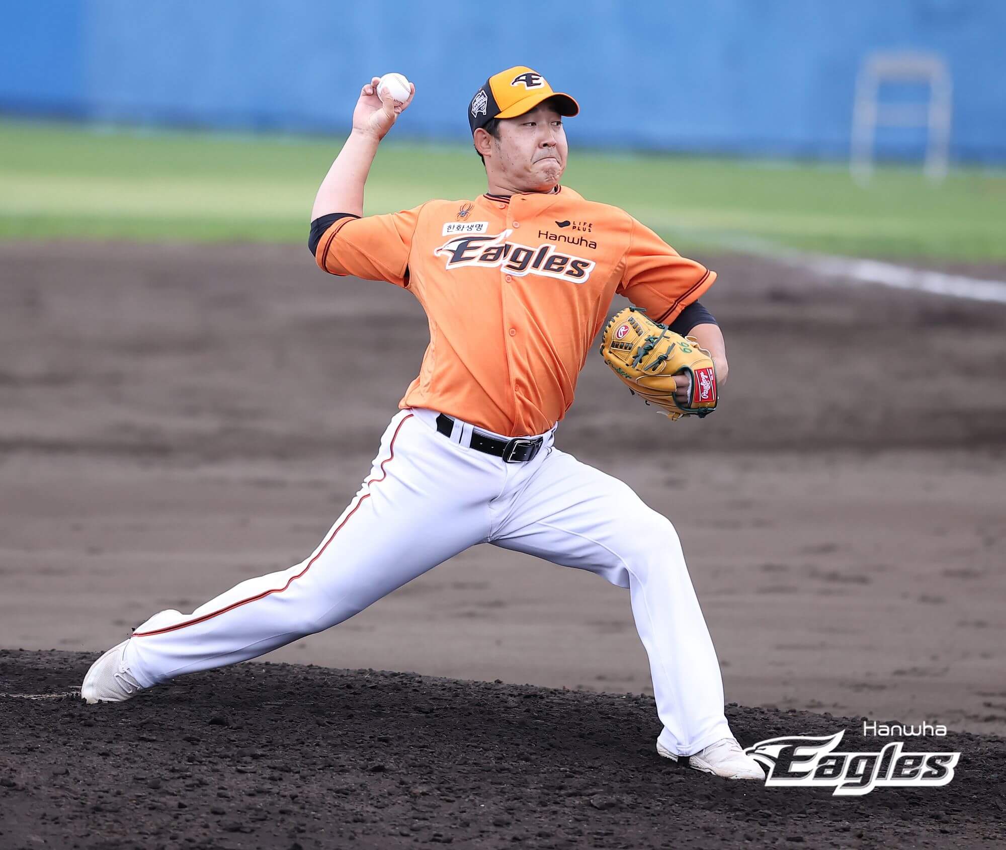 2024 한화 이글스 티켓 할인 예매&amp;#44; 무료 주차&amp;#44; 좌석 종류 및 특징&amp;#44; 경기일정 및 결과