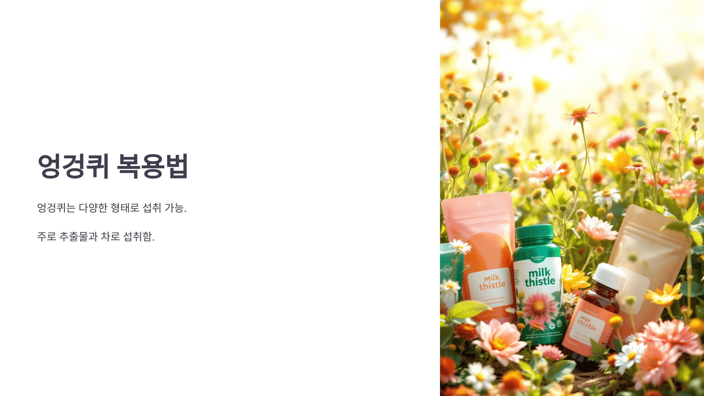 엉겅퀴와 관련된 사진입니다.