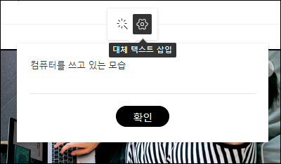 대체 텍스트 삽입을 설명하는 이미지