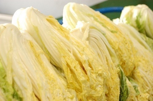 김장 재료 할인