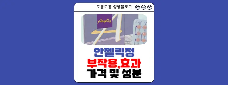 안젤릭정 안내 이미지