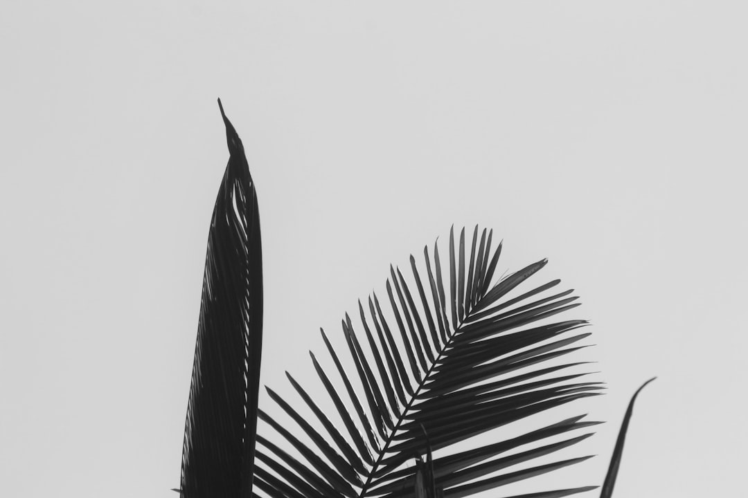 Simplicity