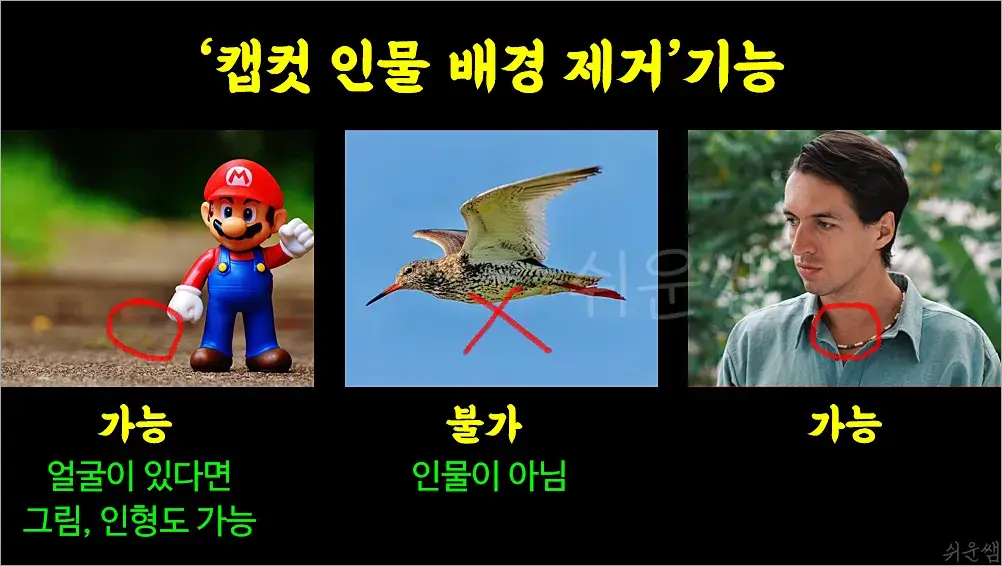 인물 배경제거 예시