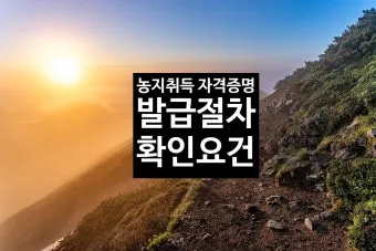 농지 취득 절차 자격증명 면적 제한 서류 신고 유의점_6