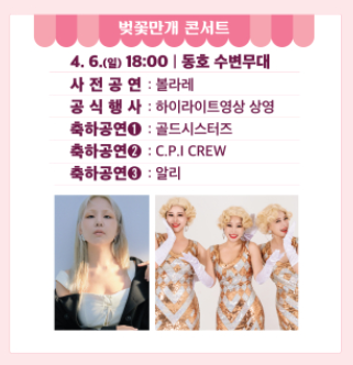 석촌 호수 벚꽃축제